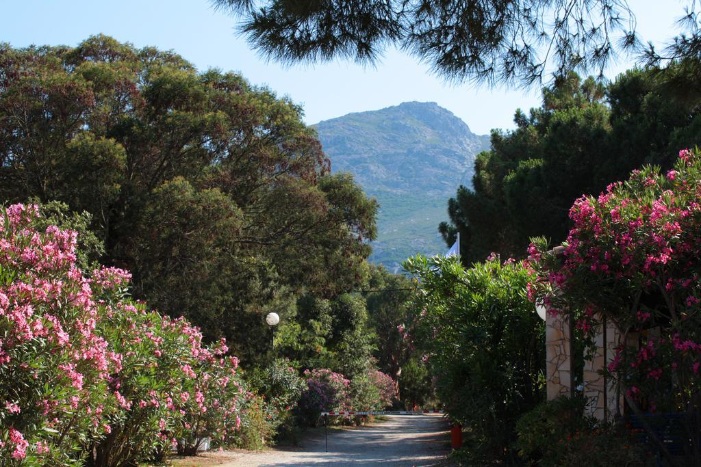 Camping Bella Vista Calvi  Eksteriør bilde